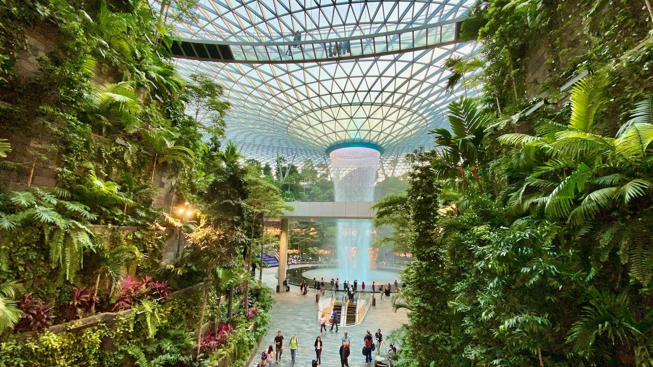 Top 10 Most Instagram-Worthy Places in Singapore 2025 | Aesthetic & Cute Cafes Guide