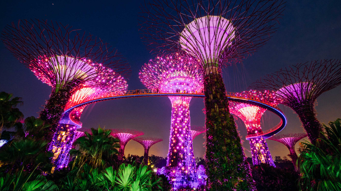 Singapore Garden Festival 2026: A Complete Guide to Carnival of Blooms at Gardens by the Bay