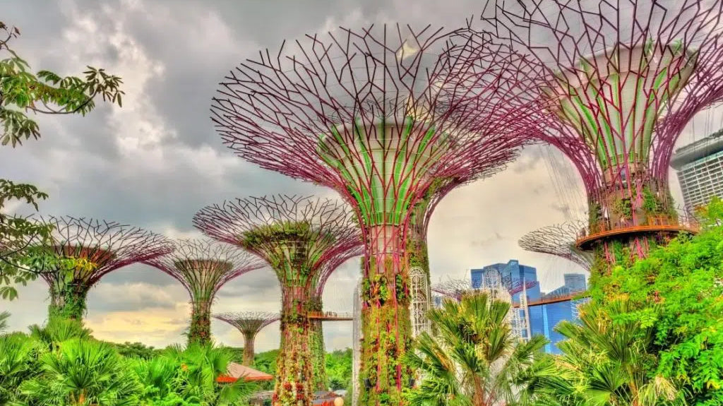 Green Getaway: Your Ultimate Guide to a Sustainable Singapore Holiday! - Nimbu