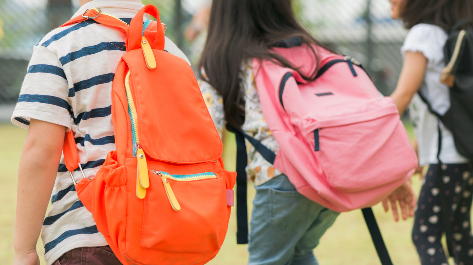 Back to School, Back to Green: 6 Ways for Kids to Reduce Plastic Use in School