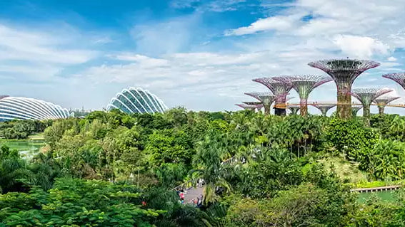 Go Green This Singapore National Day: Fun Eco-Friendly Tips!