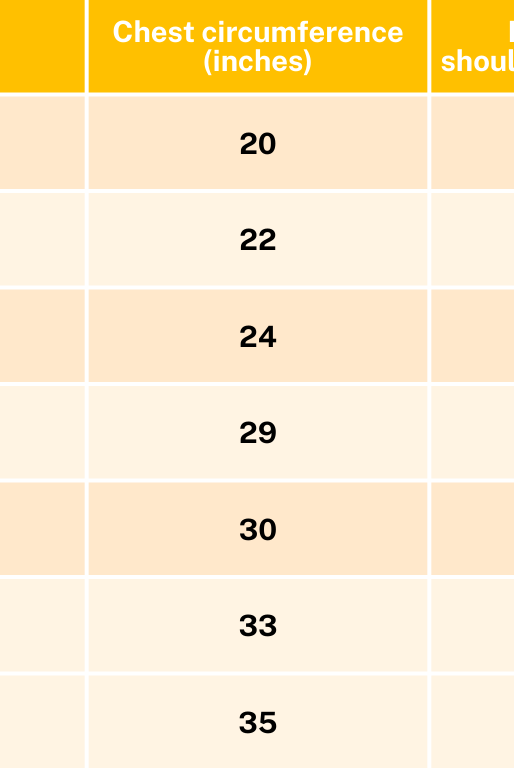 Boys_shirt_sizechart
