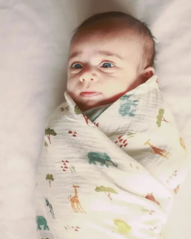 Organic Muslin Swaddle - Just Lion Around Dulaar