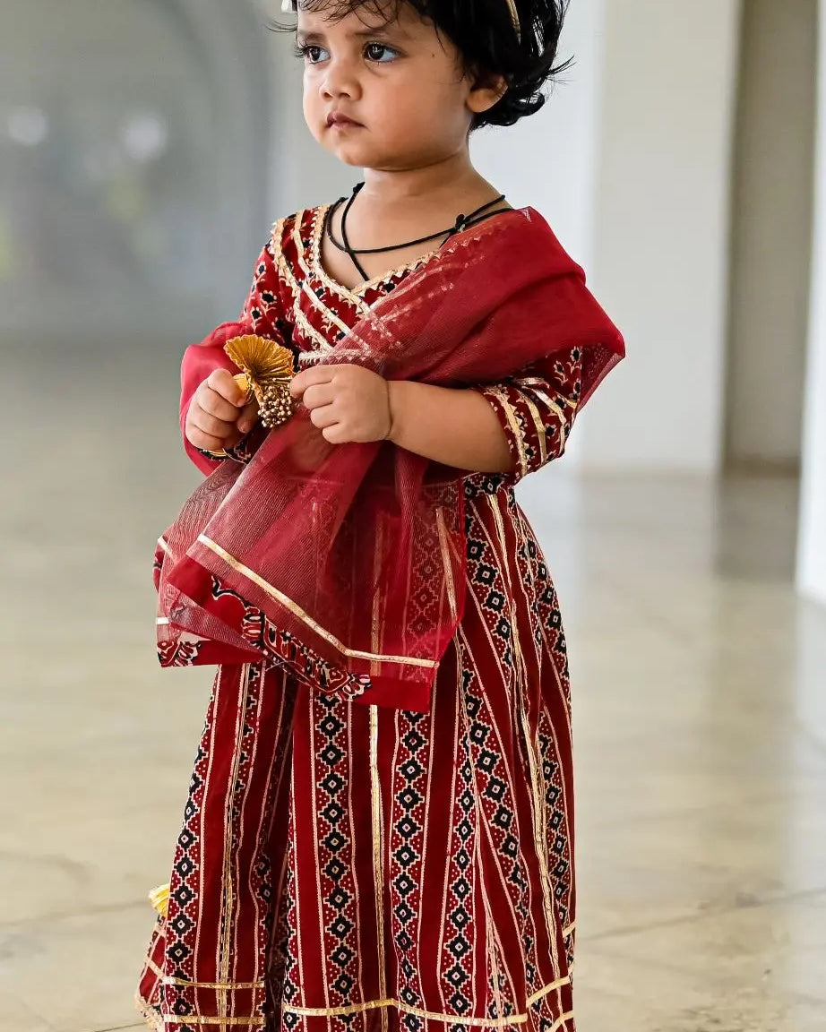 Raani Maroon Crop Top Choli & Skirt Lehenga Set Nimbu Kids