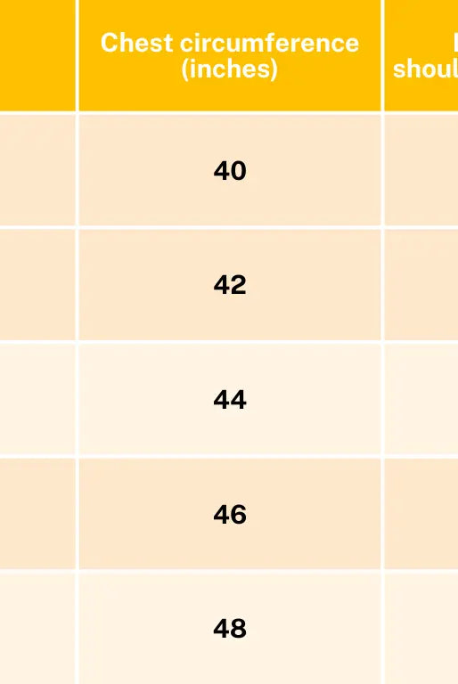 Celestial Adults Unisex Cotton Shirt in Blue Nimbu