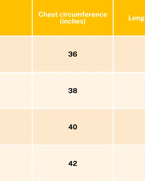 Women's A Line Dress with Pockets Nimbu