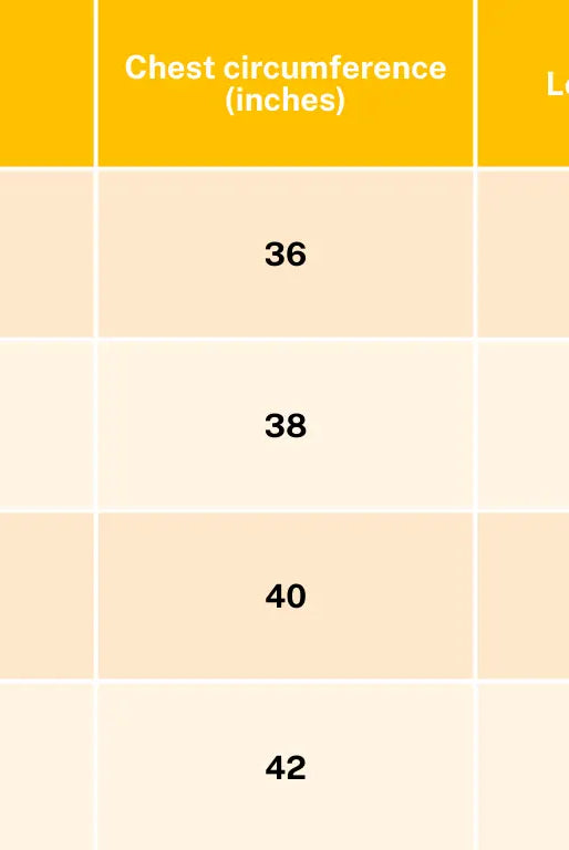 Oxford Women's A Line Dress with Pockets Nimbu