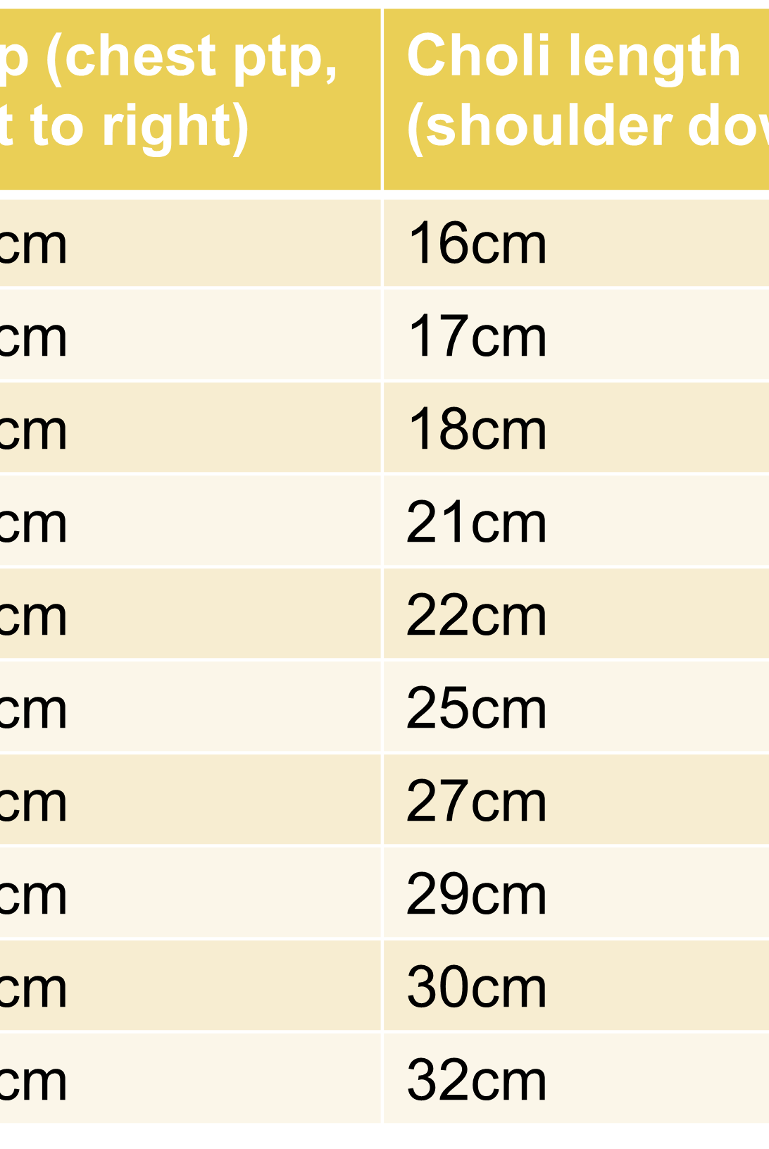 'Fiza' Floral Girls Lehenga Skirt Blouse in White & Blue Size Chart