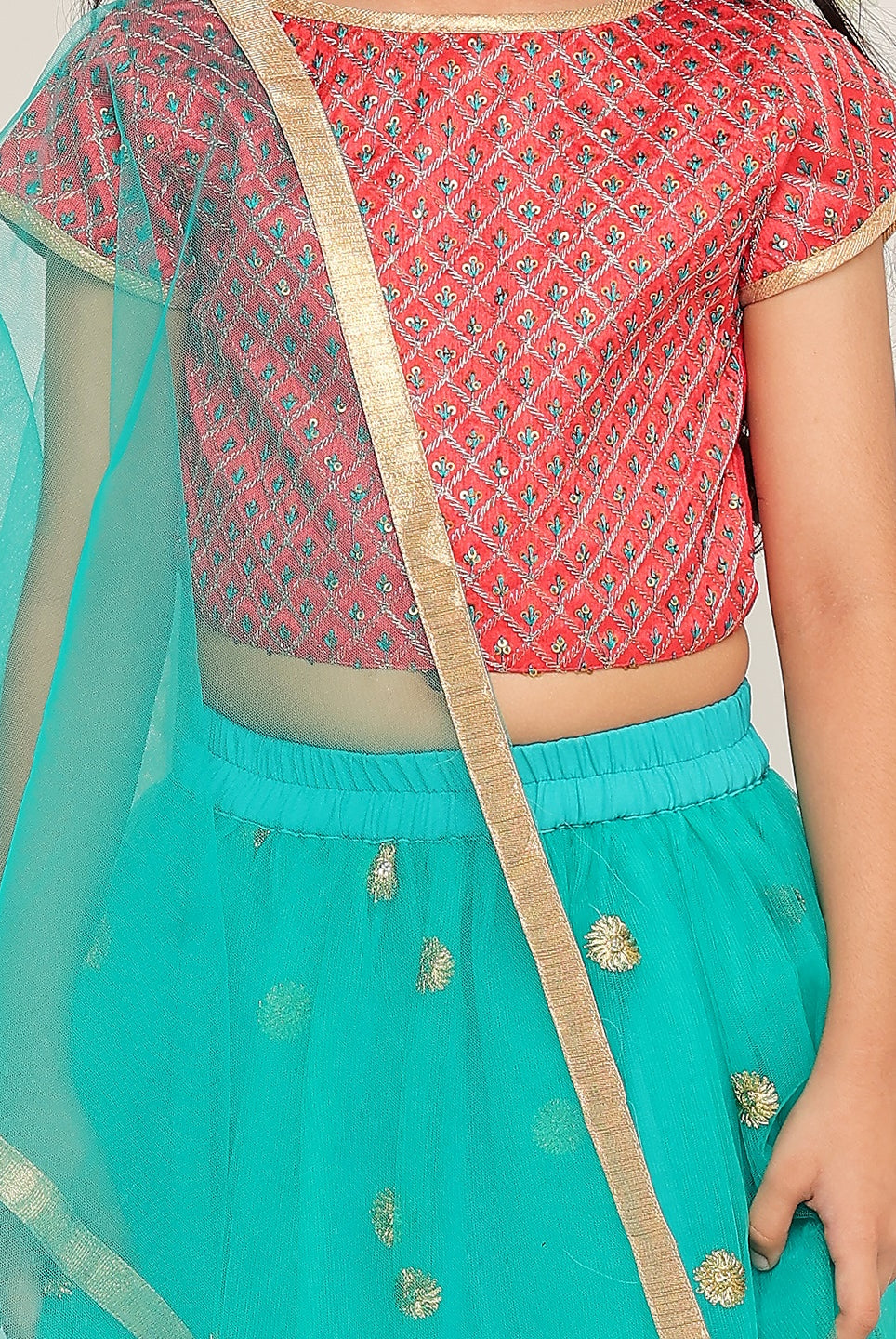 Dreamy Frill Net Lehenga - Nimbu Kids