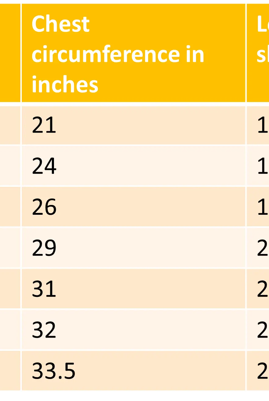 Rian Boys' Short Kurta in Blue & Grey Nimbu