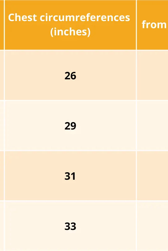 Valeria Beige Kids Shirt in Flex Cotton Nimbu