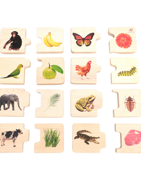 Chunky Wooden Puzzle - Feed the Animals - Nimbu Kids