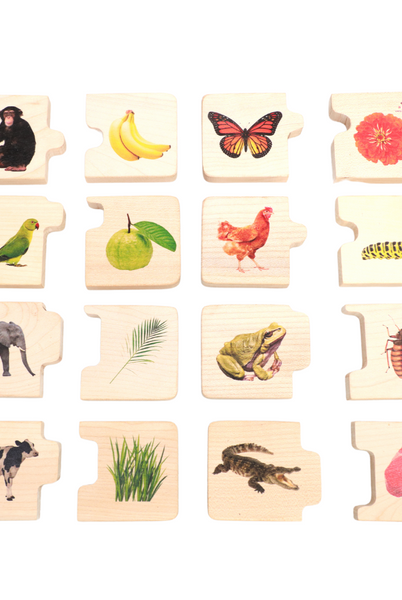 Chunky Wooden Puzzle - Feed the Animals - Nimbu Kids