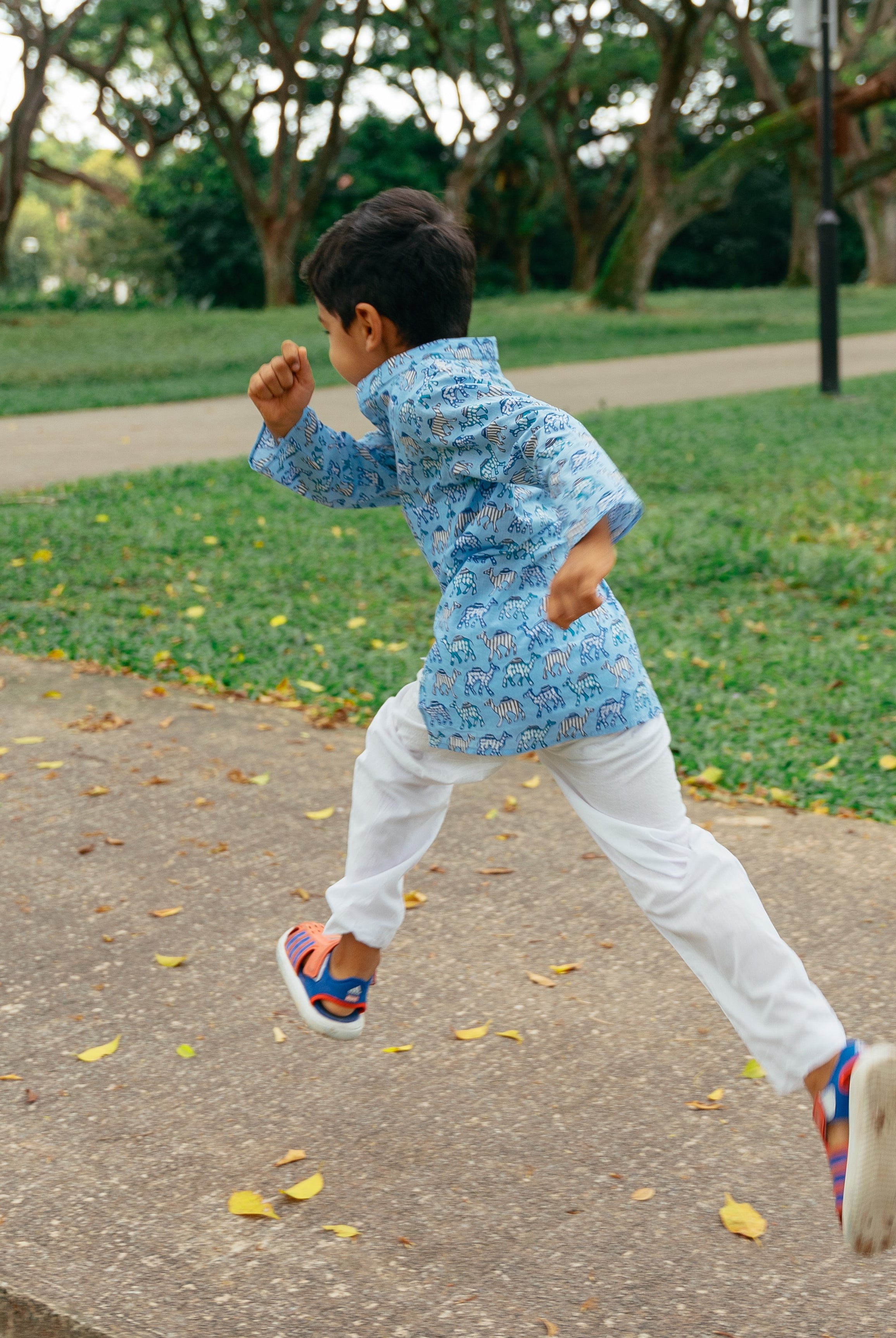 Blue Camel Kurta Set - Nimbu Kids