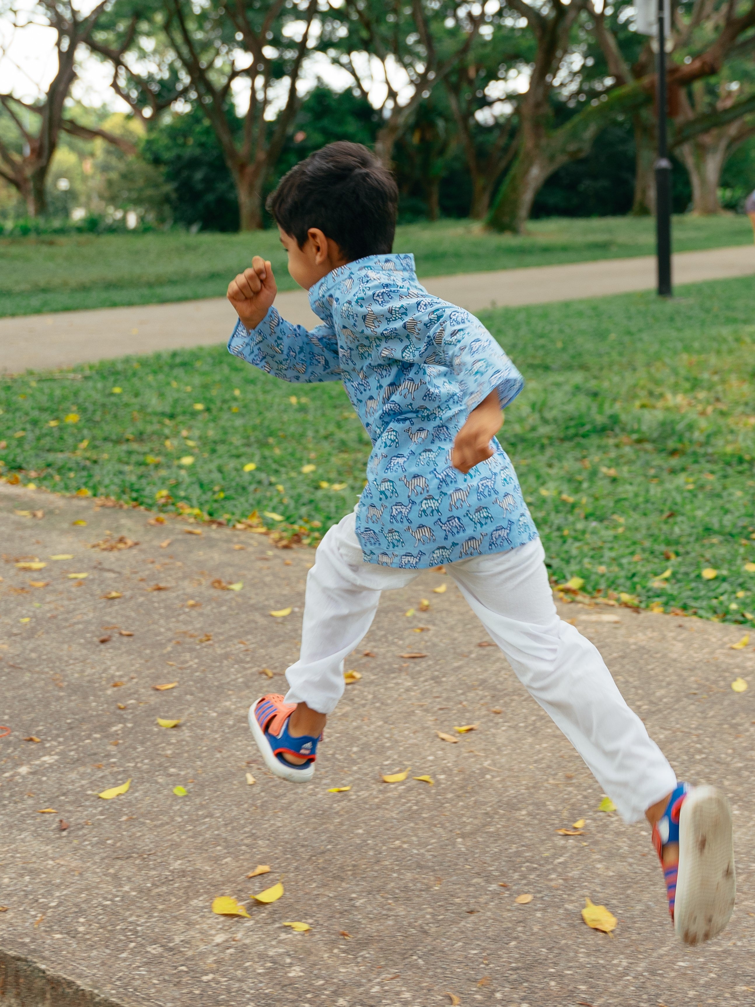Blue Camel Kurta Set - Nimbu Kids