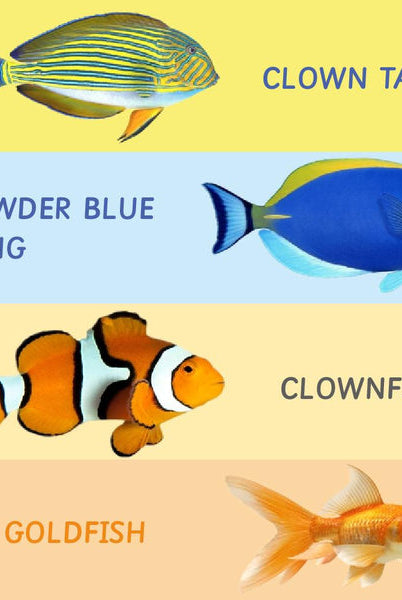 Toddler's Rubik's Cube - Rotating Wooden Puzzles - Nimbu Kids