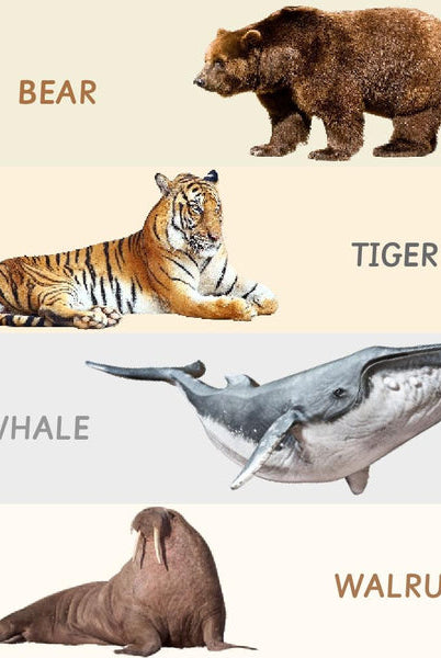 Toddler's Rubik's Cube - Rotating Wooden Puzzles - Nimbu Kids