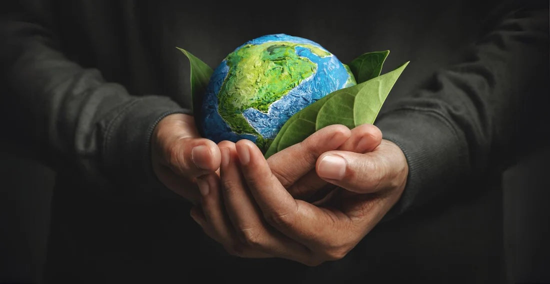 Recycle in Singapore: A Guide to Donating or Recycling Old Clothes - Nimbu