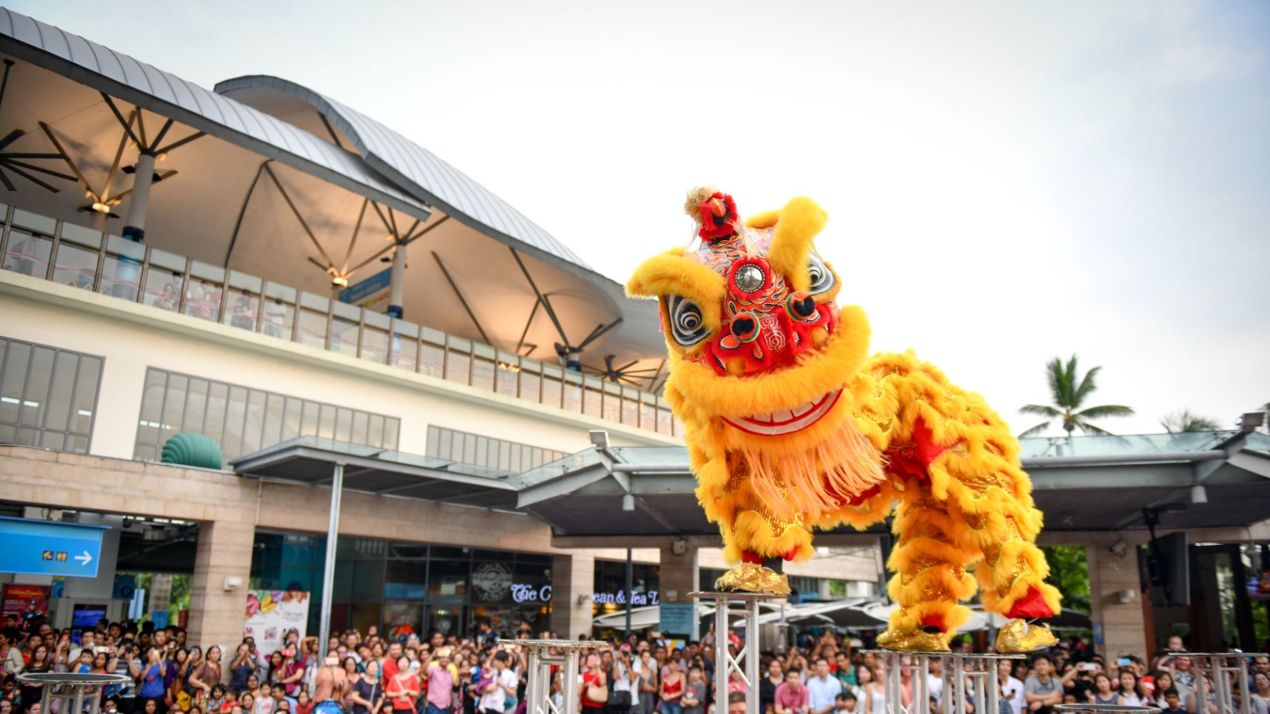 Where to Watch Lion Dance in Singapore 2026 Nimbu