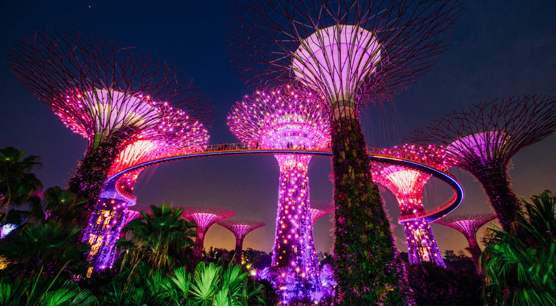 Singapore Garden Festival 2026: A Complete Guide to Carnival of Blooms at Gardens by the Bay