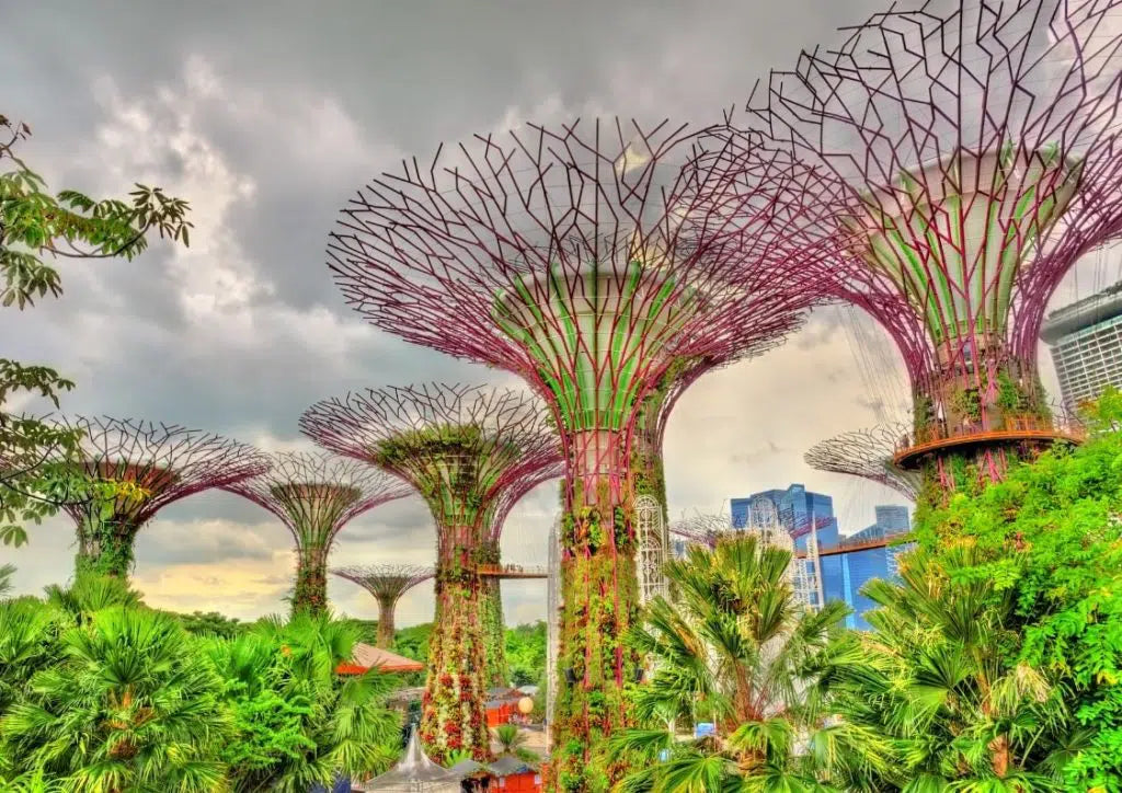 Green Getaway: Your Ultimate Guide to a Sustainable Singapore Holiday!