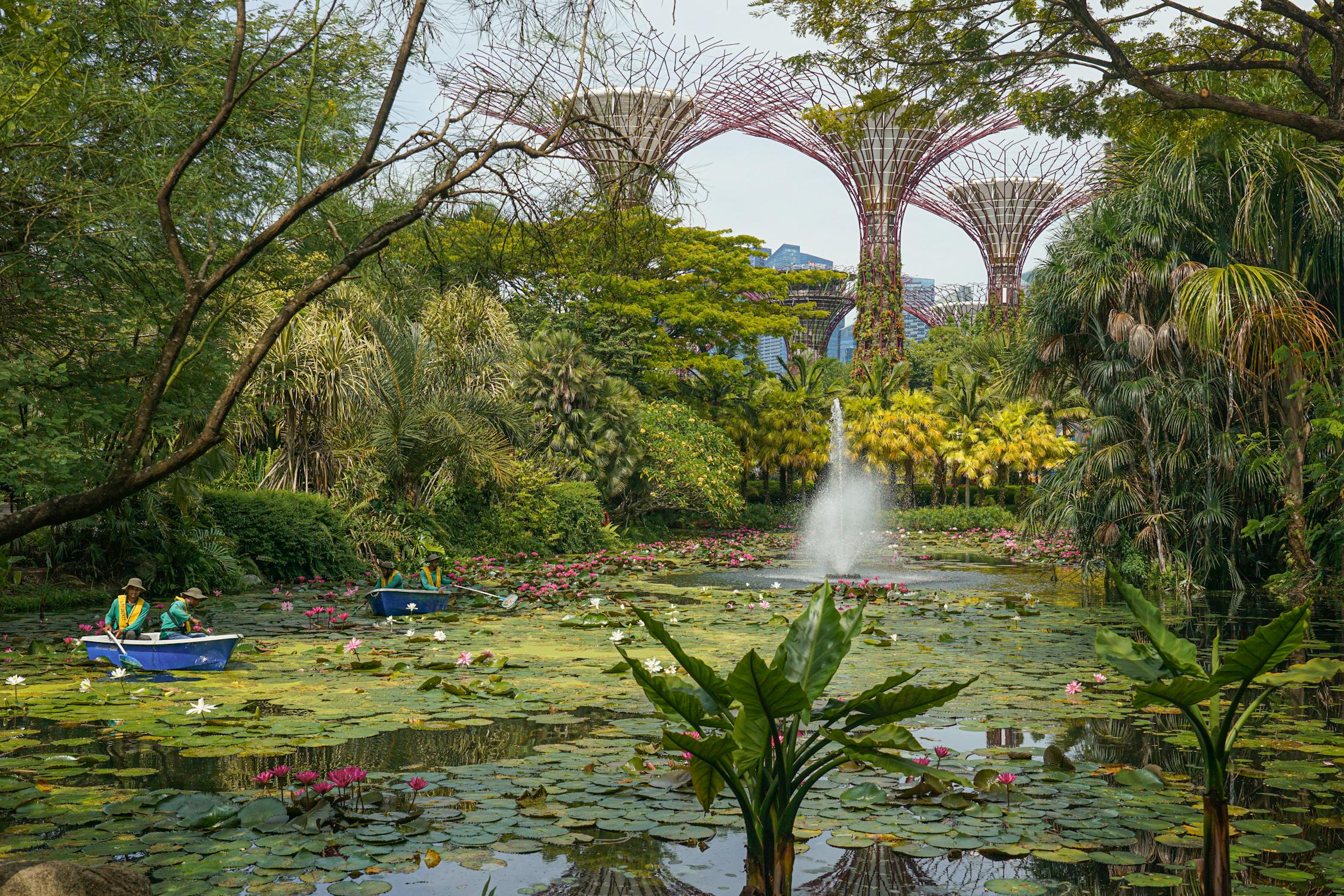 16 Top Things to Do in Singapore with Family (2025)