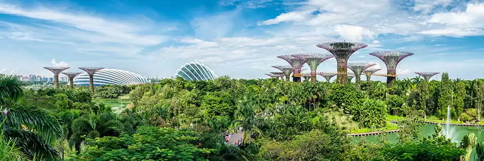 Go Green This Singapore National Day: Fun Eco-Friendly Tips!